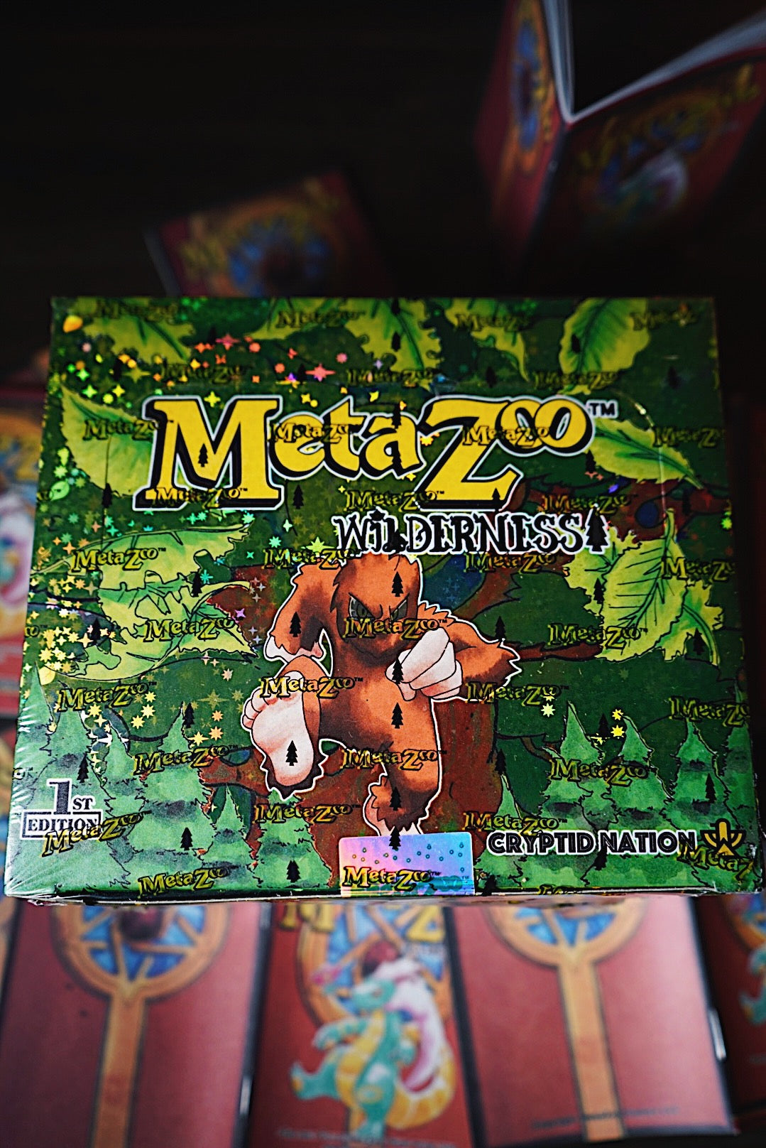 COACHING SESSION + Metazoo Wilderness Booster Box